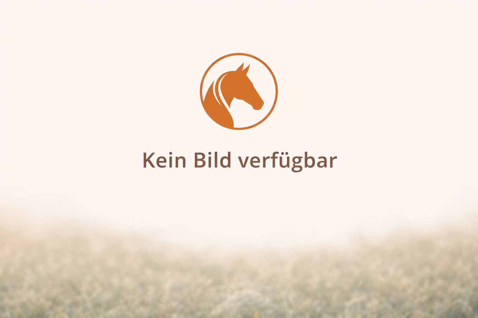 Kein Bild verfügbar